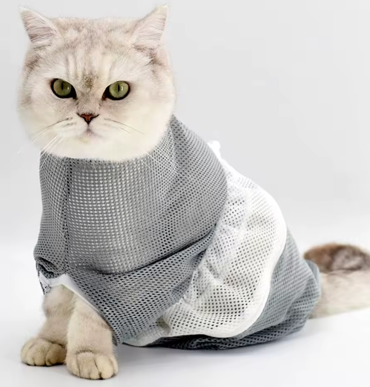 Kattvårdspåse
